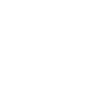 Icebreakers logo